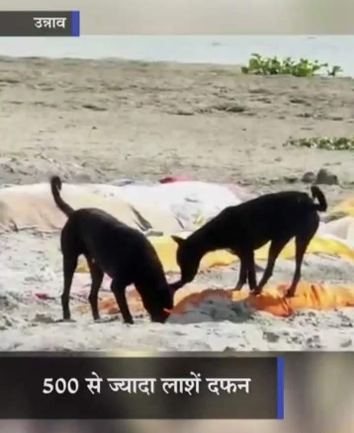 कोरोना में सबसे बड़ा कब्रिस्तान बना गंगा घाट