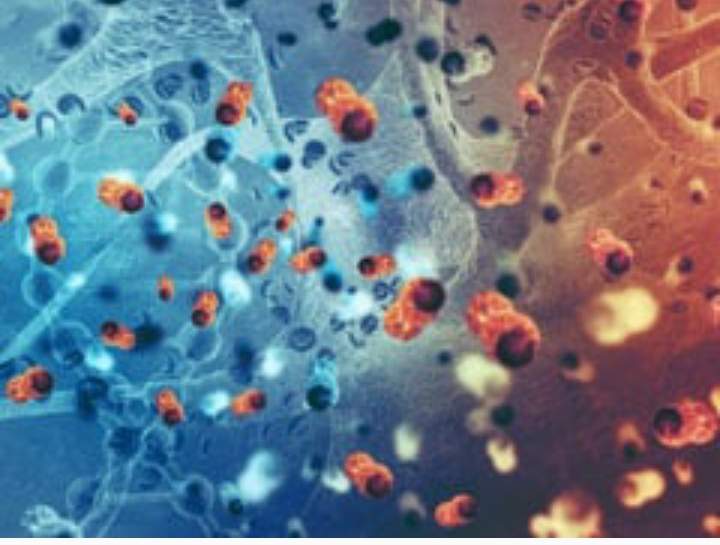 Black Fungas Disease:Mucormycosis 3 IMG 20210514 085357